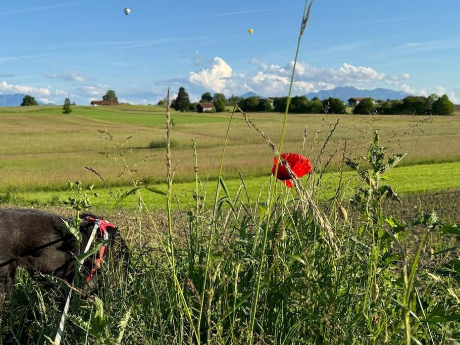 Am - Seeblick Bergblick Modern Neu